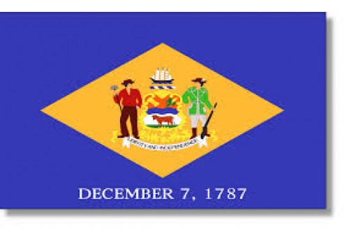 3'x5' Delaware State Flag Nylon